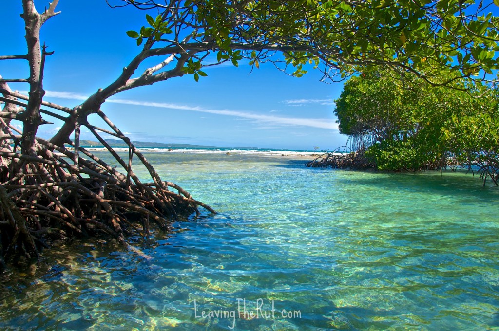 Parguera from mangroves looking at the reef line