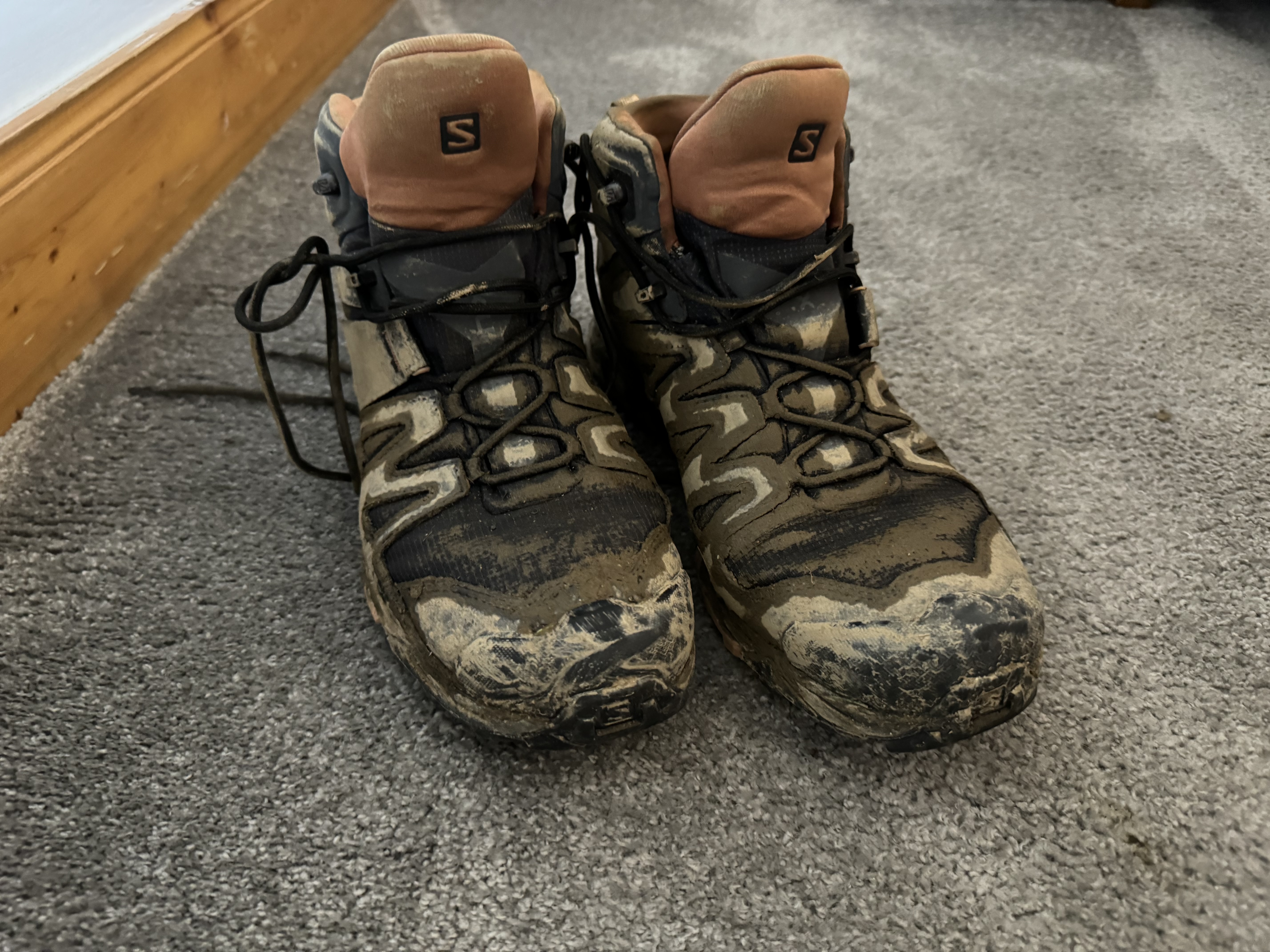 The boots that got me through the Tour do Mont Blanc.