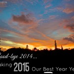 2015: Our Best Year Yet!